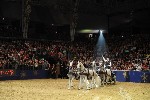 Extreme - 00939